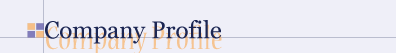 company profile